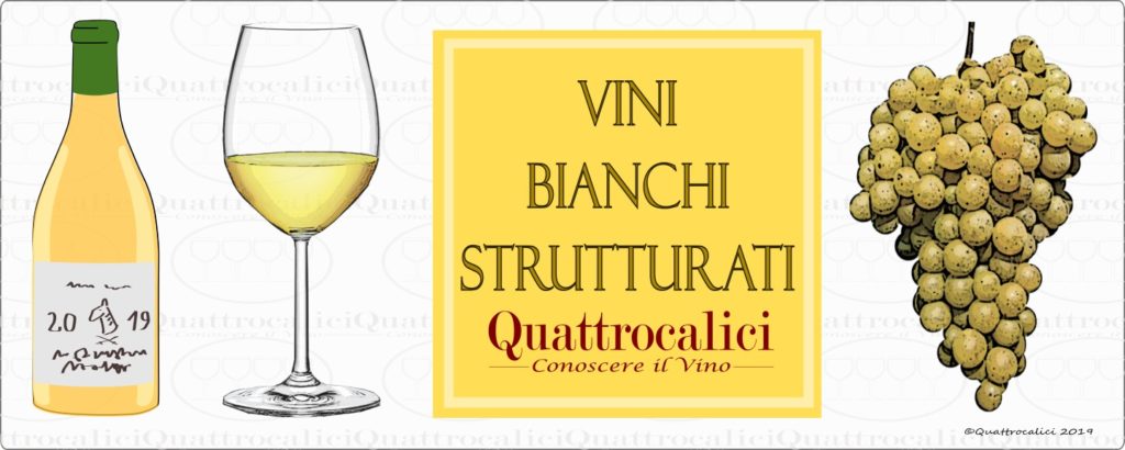 guida-acquisto-vini-bianchi-strutturati