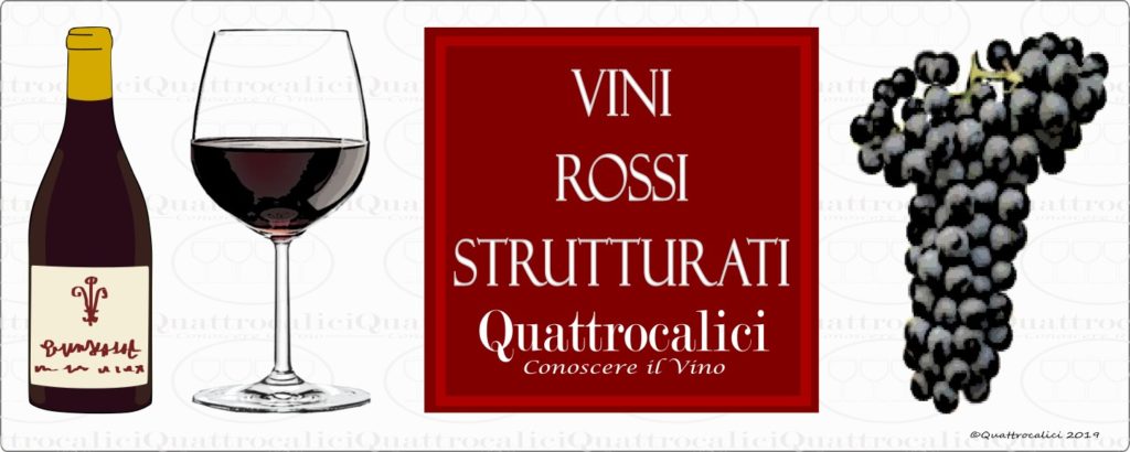 guida-acquisto-vini-rossi-strutturati