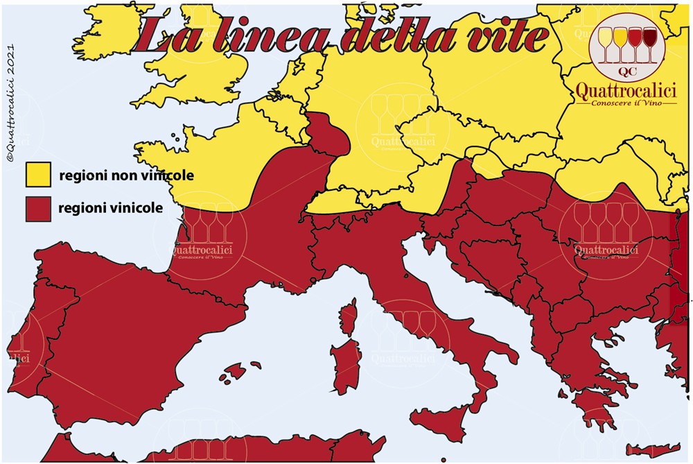 la linea della vite