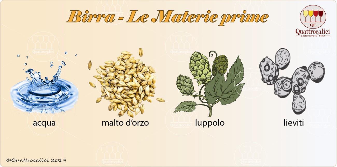 Le materie prime per la produzione della birra - Quattrocalici