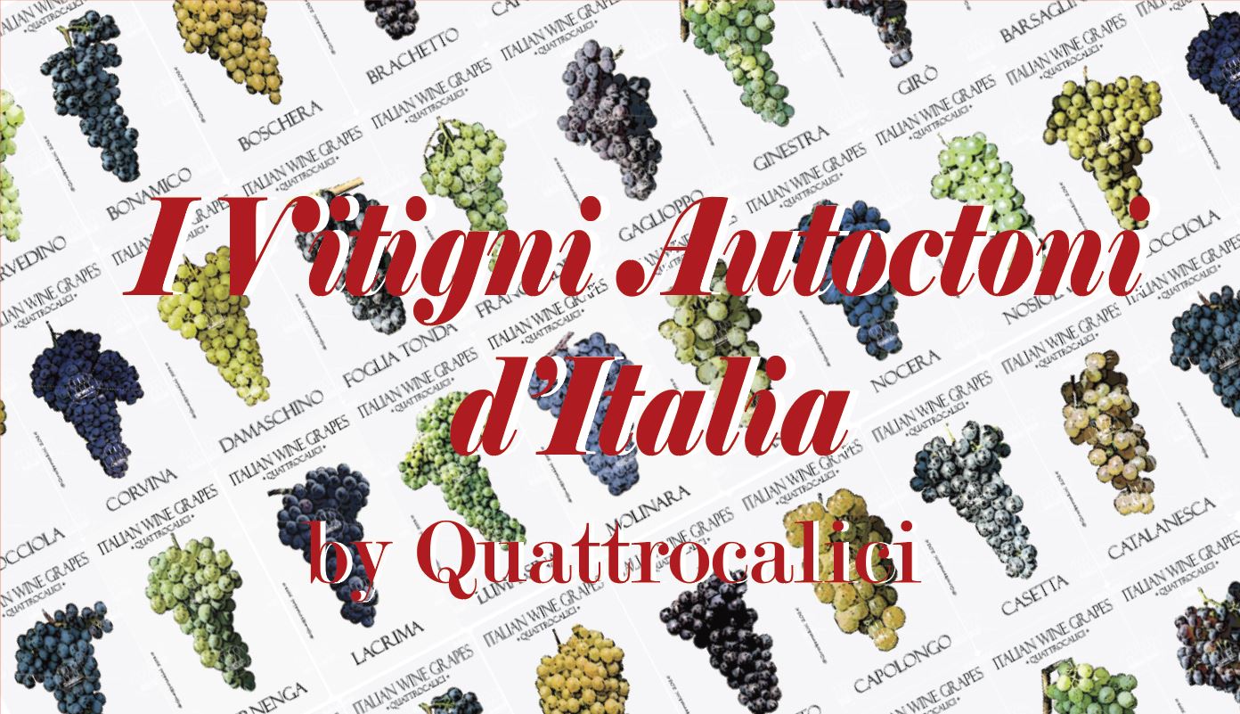 vitigni autoctoni italiani