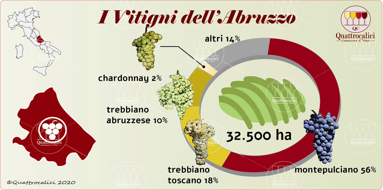 I vitigni dell'Abruzzo