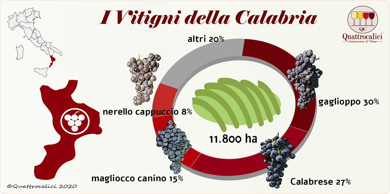 i vitigni della calabria