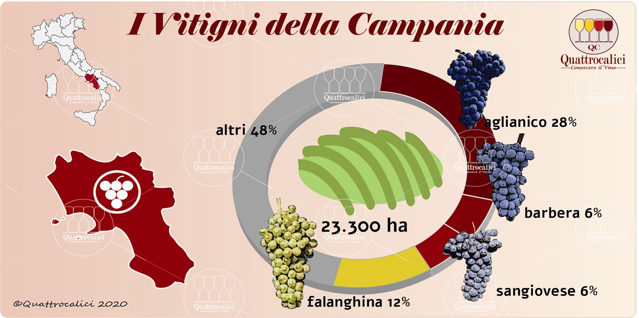 i vitigni della campania