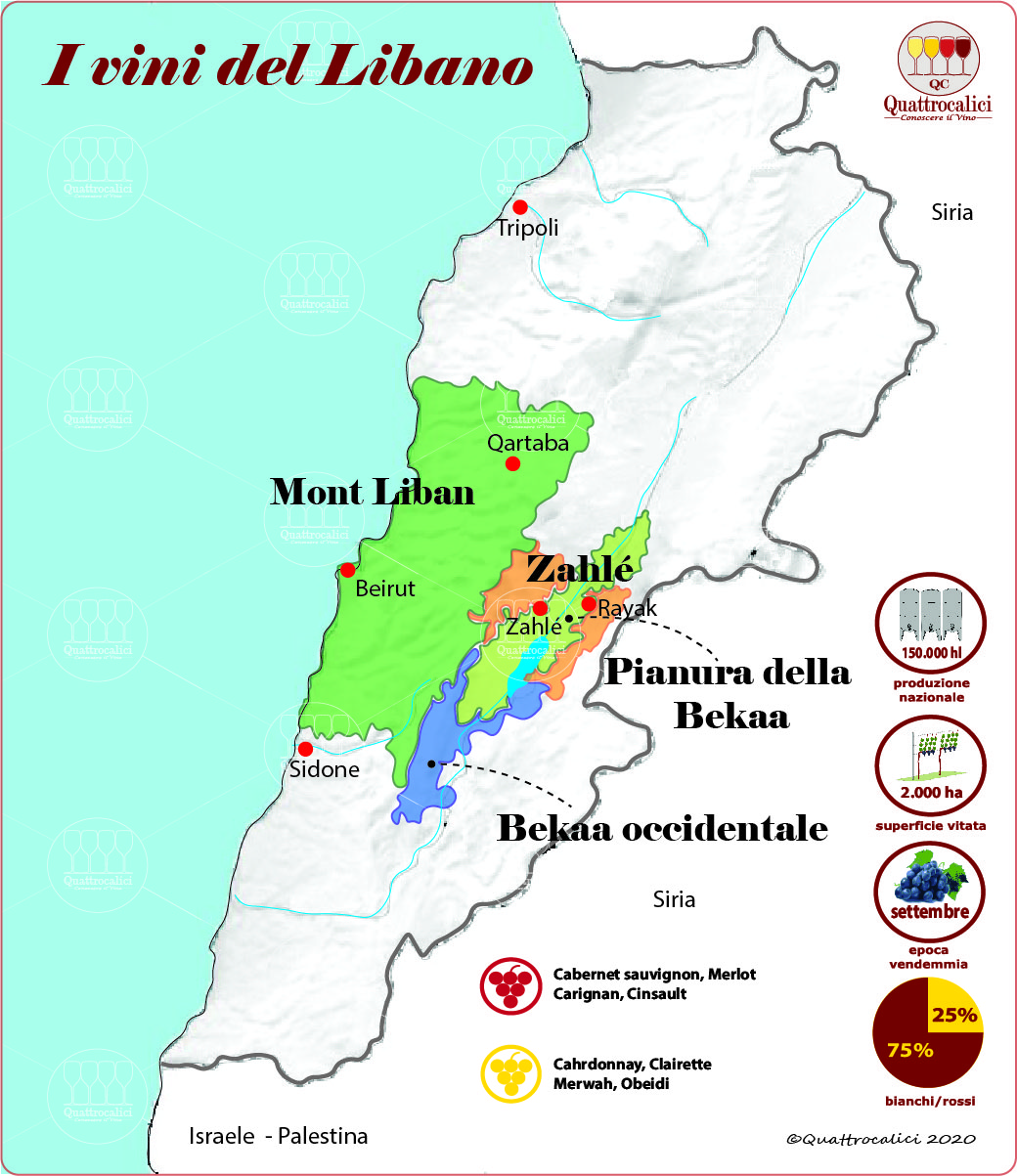I vini del libano