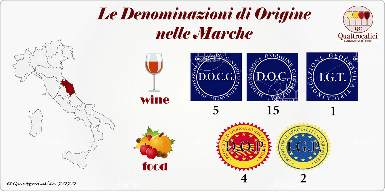 marche denominazioni