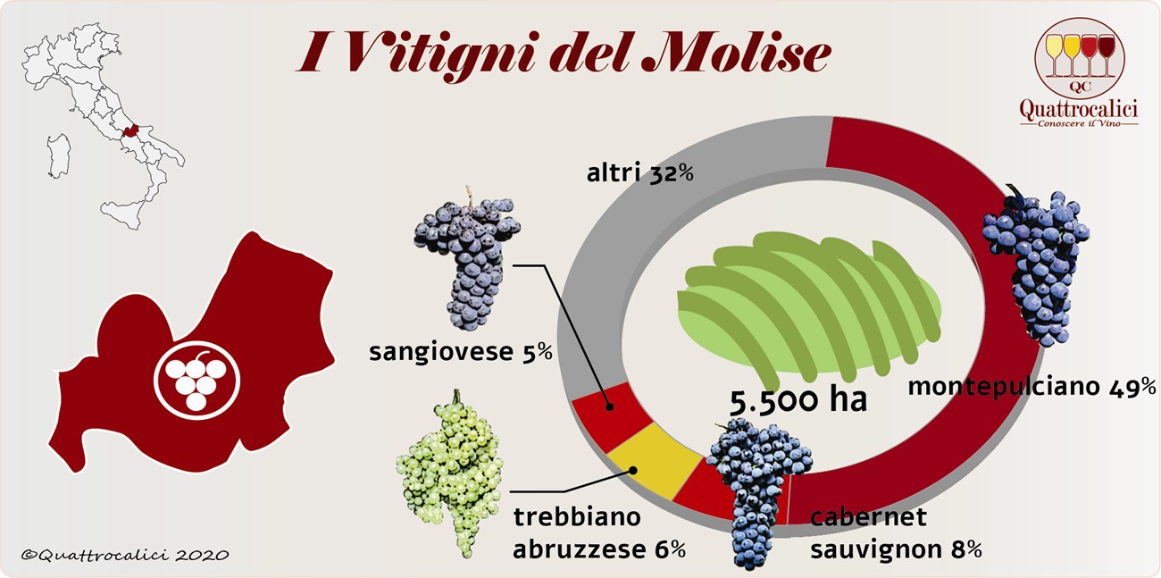 I vitigni del Molise