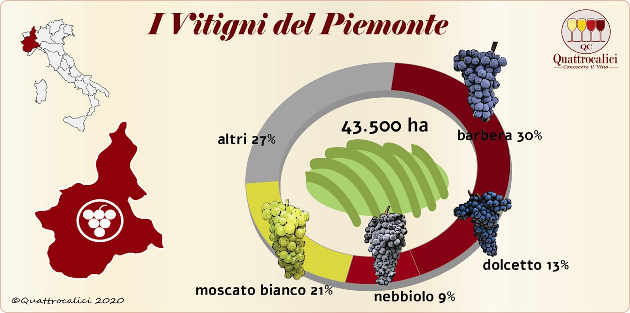 i vitigni del piemonte
