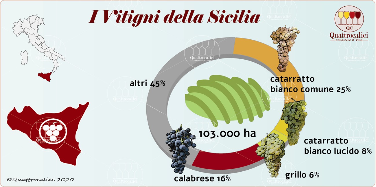 i vitigni della sicilia