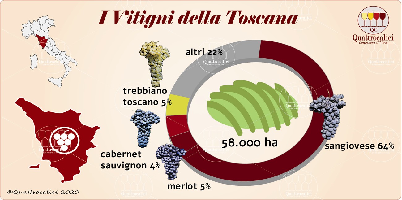 i vitigni della toscana