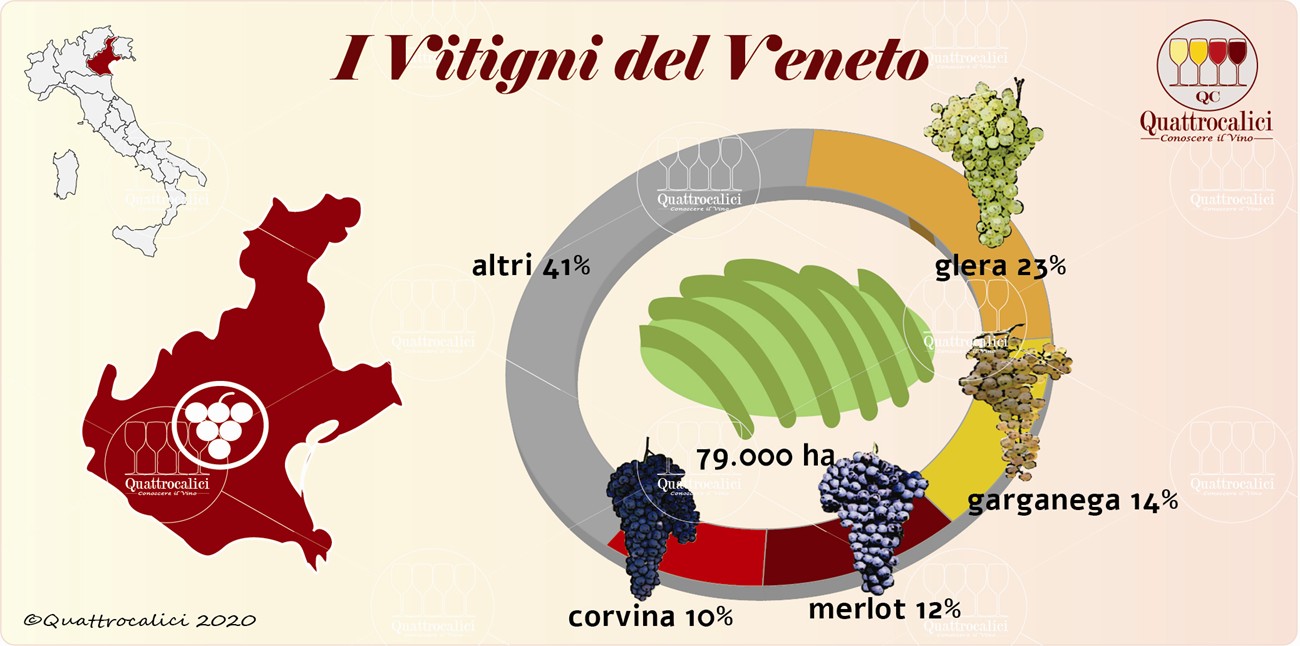 I vitigni del veneto