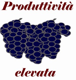 produttività vite elevata