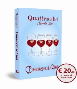 conoscere il vino libro