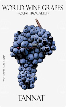 tannat vitigno