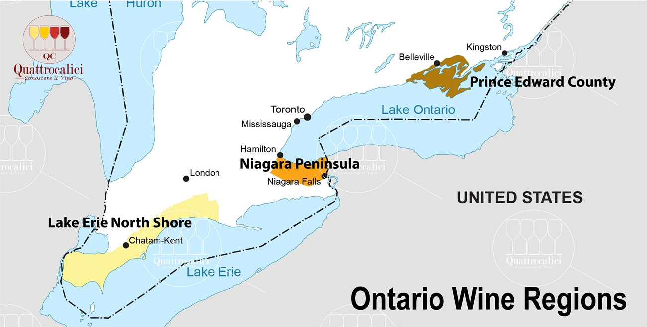 ontario zone vino