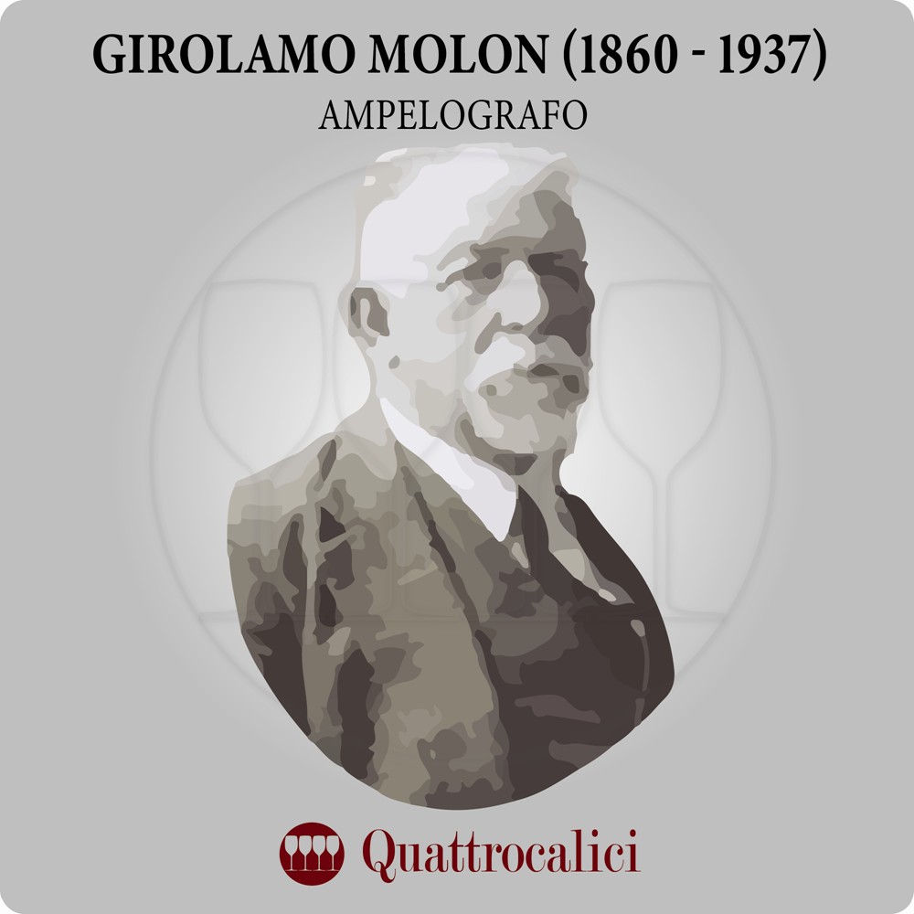 girolamo molon ampelografo