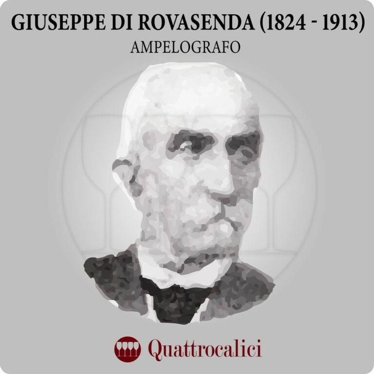 giuseppe di rovasenda ampelografo