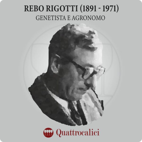 Rebo Rigotti - Quattrocalici