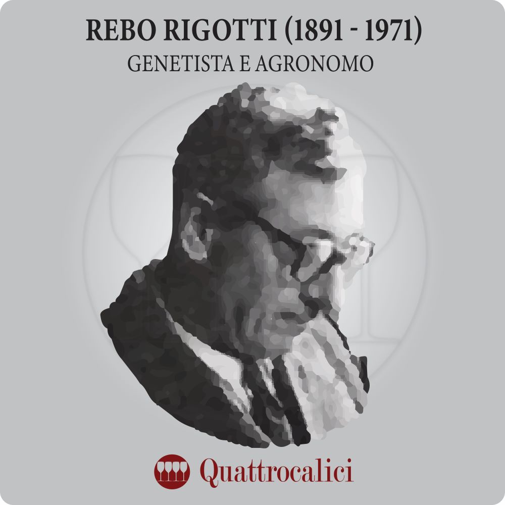 rebo rigotti