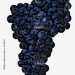 feteasca neagra vitigno