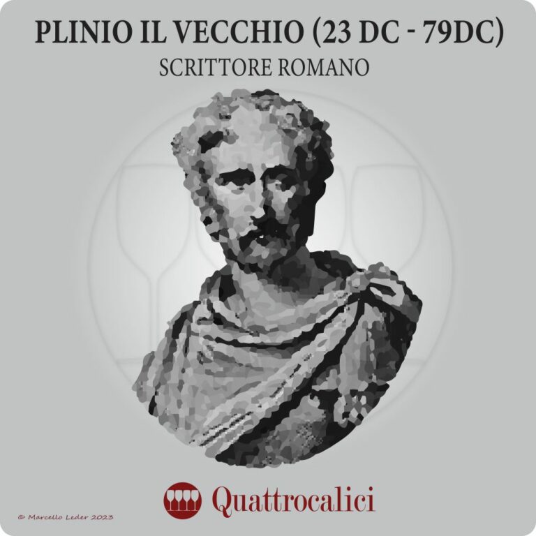 plinio il vecchio