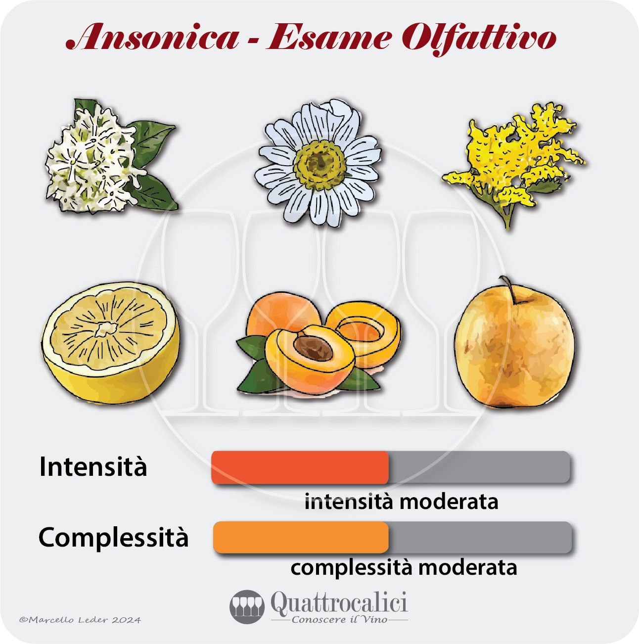 l'esame olfattivo dei vini ansonica ed inzolia