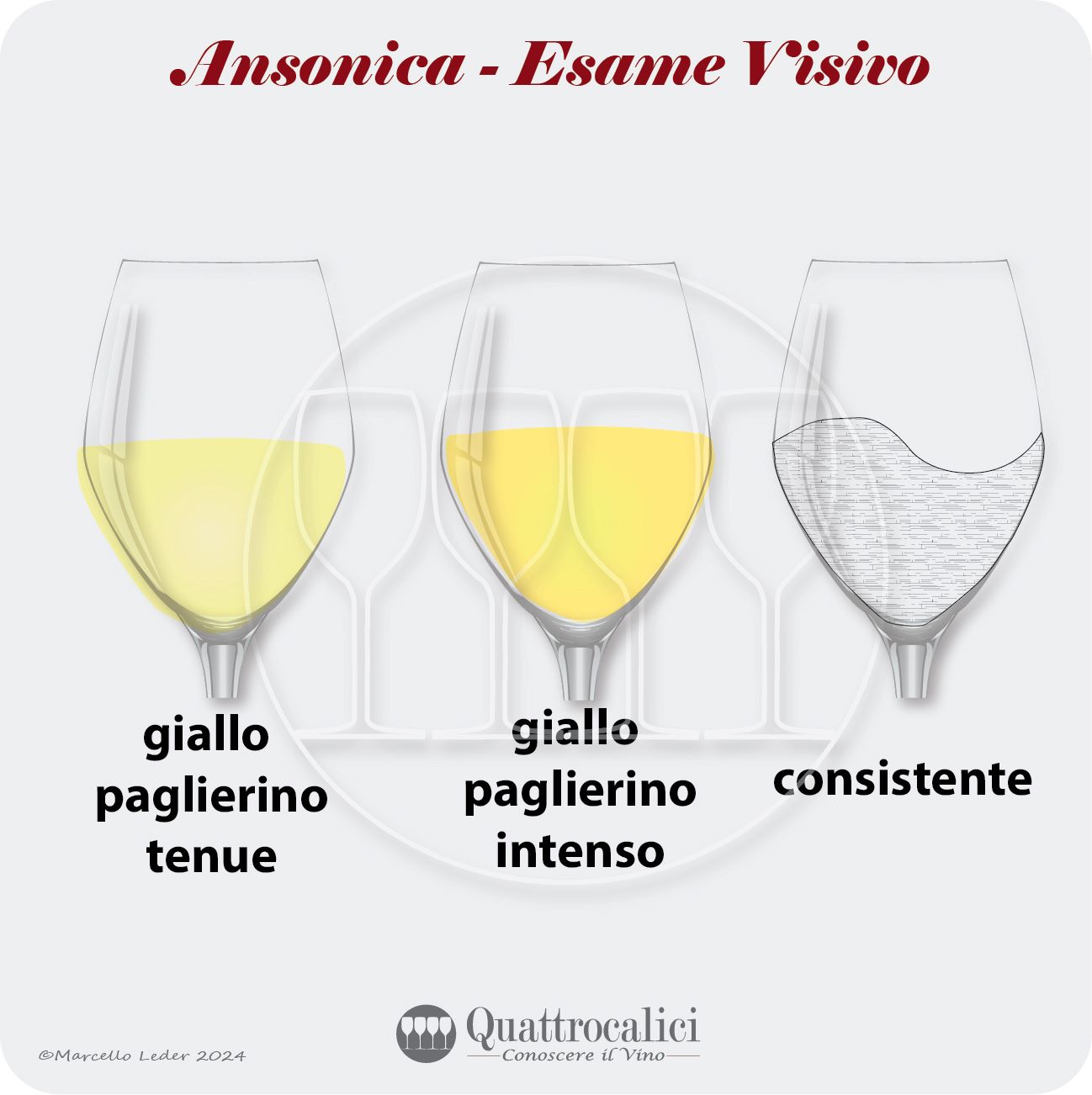 l'esame visivo dei vini ansonica e inzolia