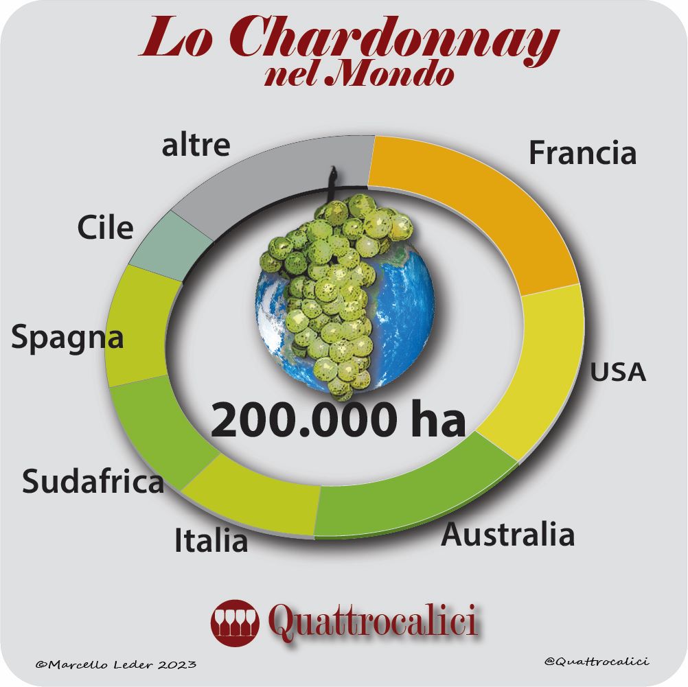 Il vitigno Chardonnay nel mondo
