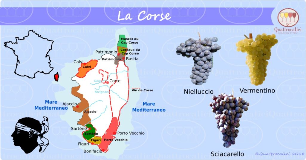 La Corsica e il vino