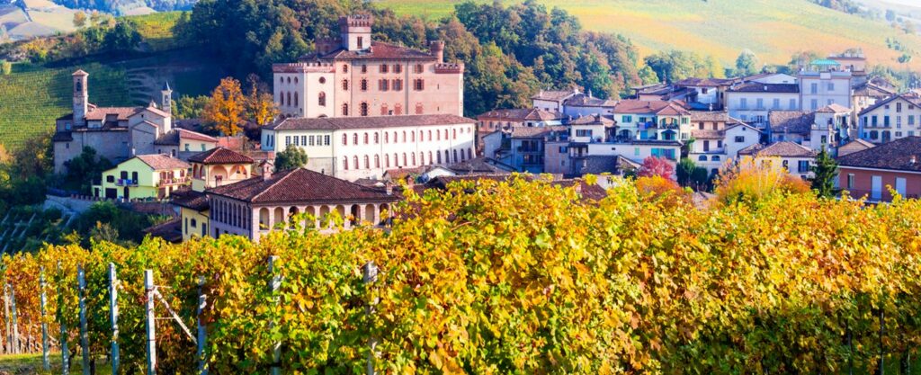 Il Vino in Piemonte