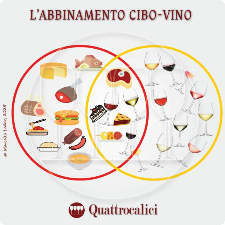 come abbinare il vino al cibo