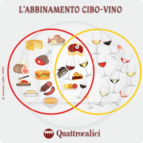 come abbinare il vino al cibo