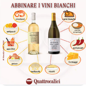 abbinare i vini bianchi