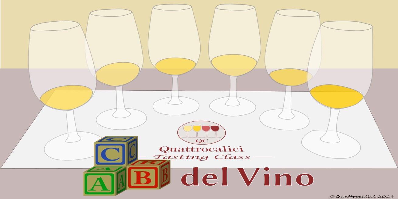 L'ABC del Vino