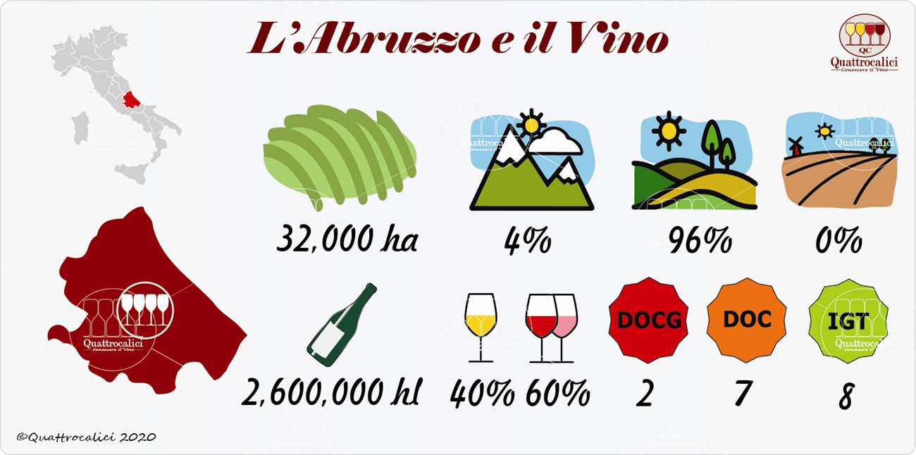 abruzzo vini