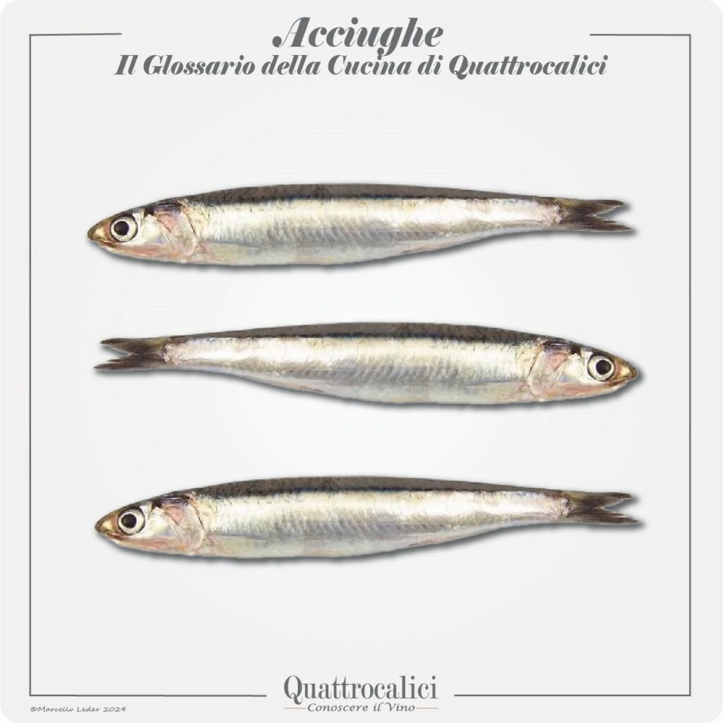 le acciughe in cucina e con il vino