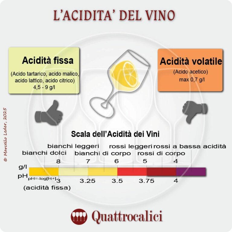 l'acidità del vino - gli acidi nel vino