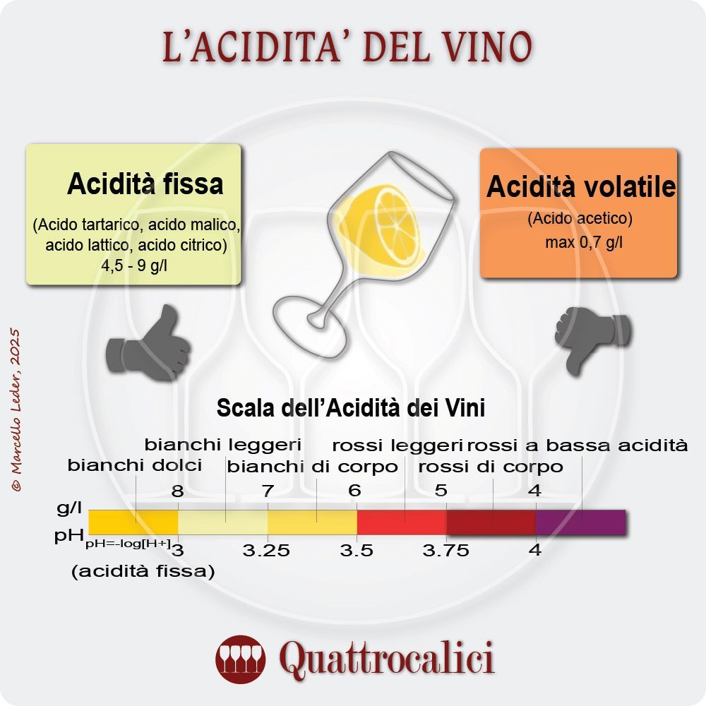 l'acidità del vino - gli acidi nel vino