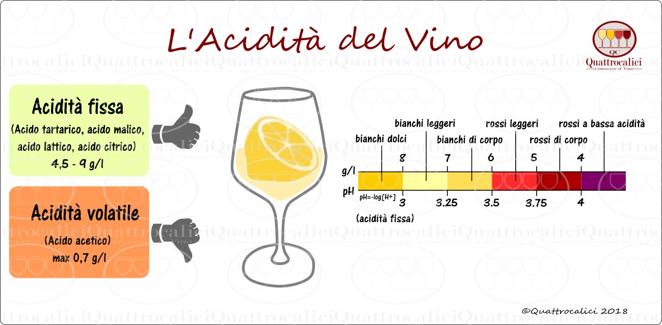 l'acidità del vino - gli acidi nel vino