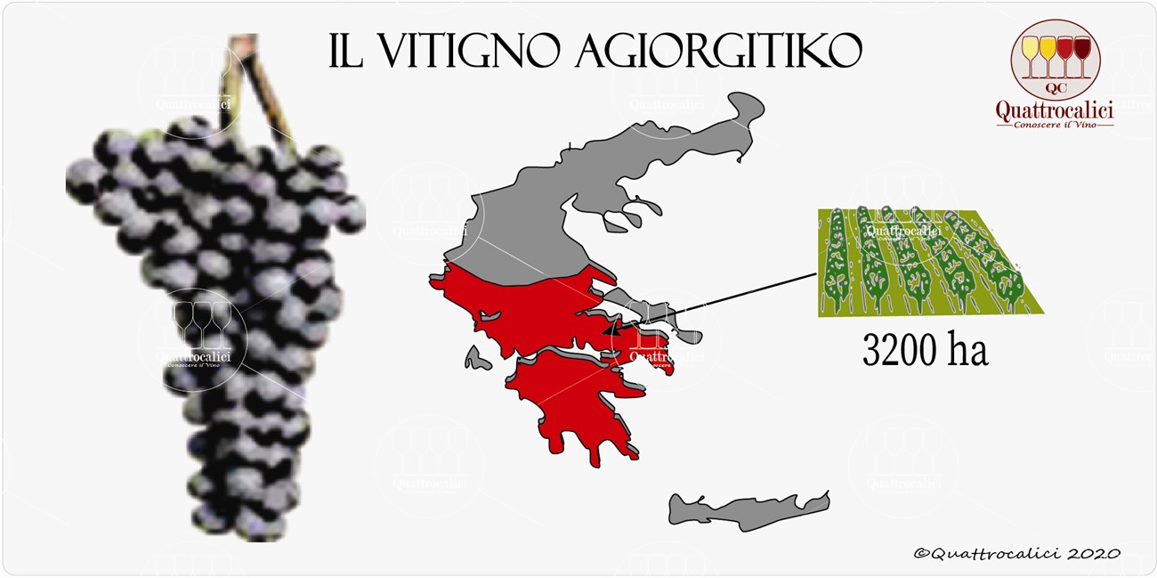 agiorgitiko vitigno