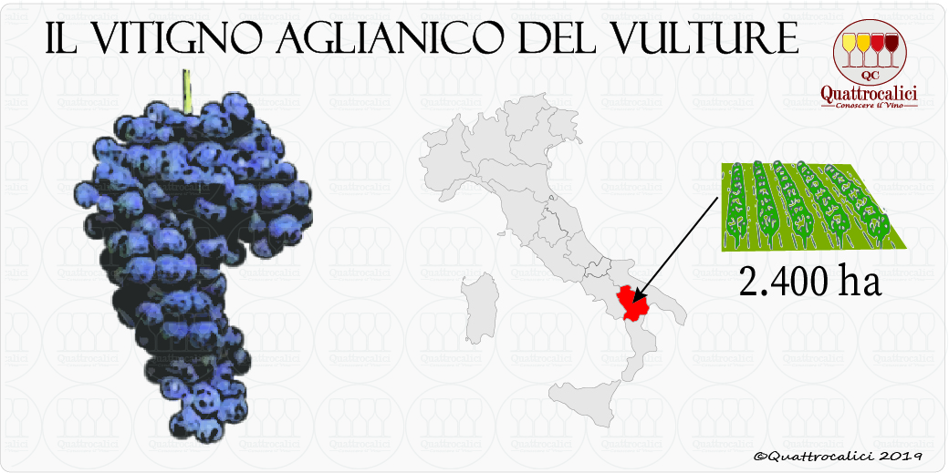 Aglianico del Vulture vitigno