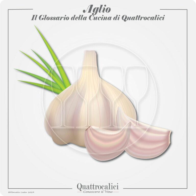 L'aglio in cucina e con i vini