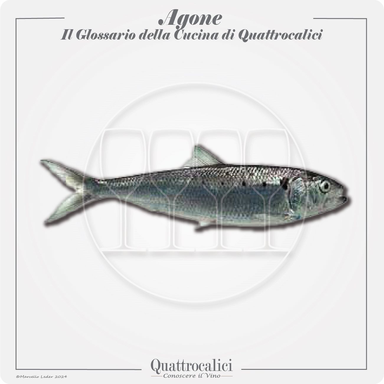 L'agone in cucina e con i vini