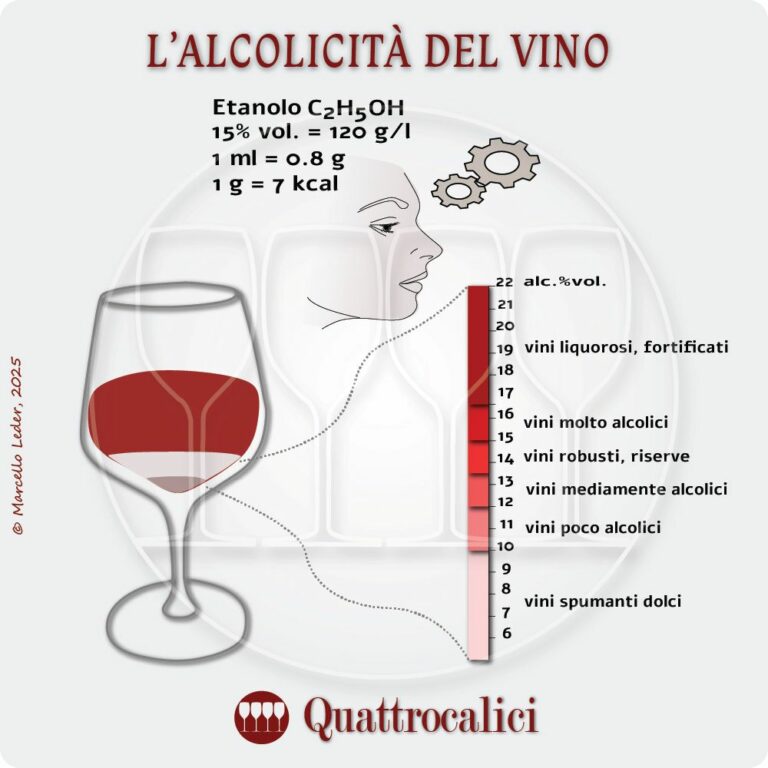 L'alcolicità e i l contenuto alcolico del vino