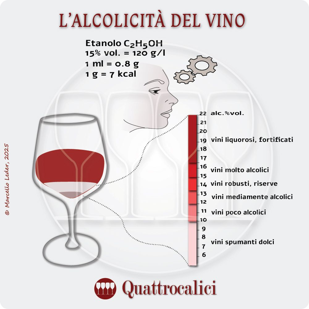 L'alcolicità e i l contenuto alcolico del vino