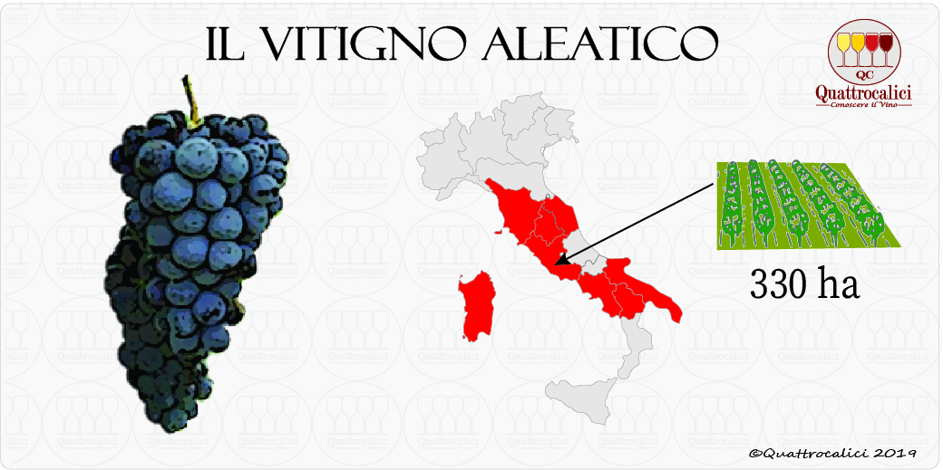 aleatico vitigno