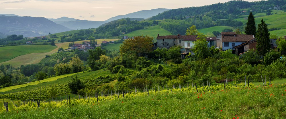 provincia alessandria vino