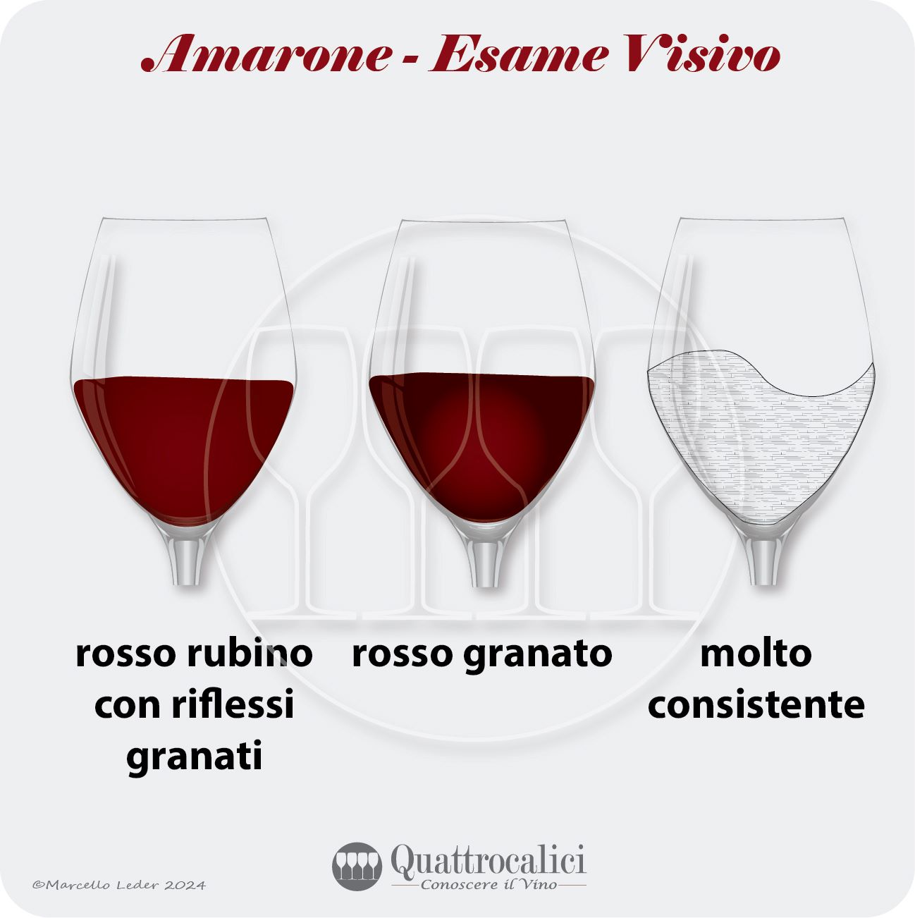 l'esame visivo dei vini amarone