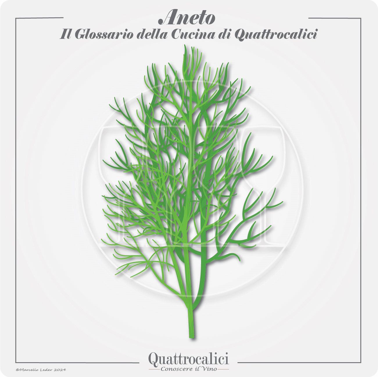 L'aneto in cucina e con i vini