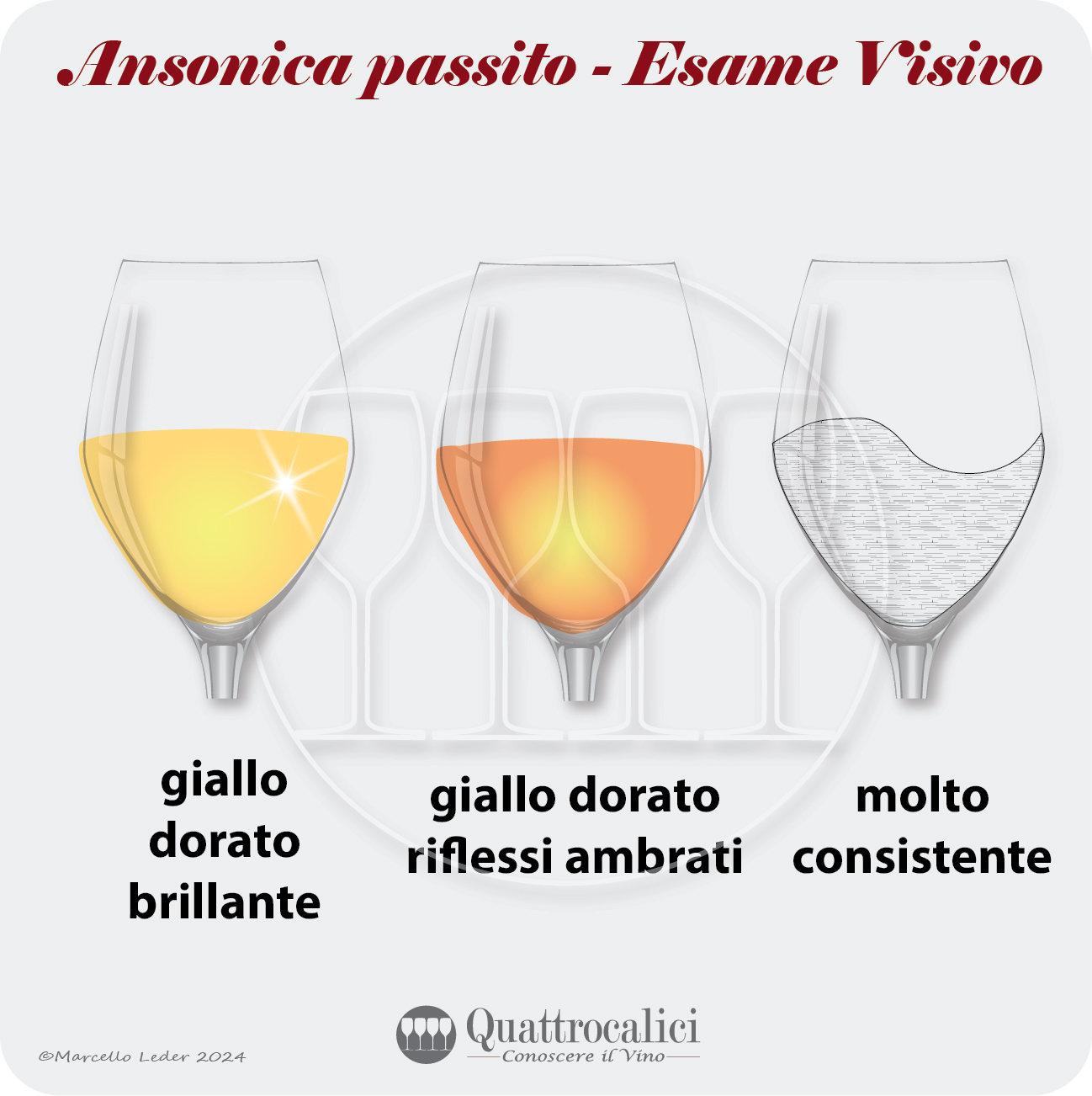 l'esame visivo dei vini ansonica passito